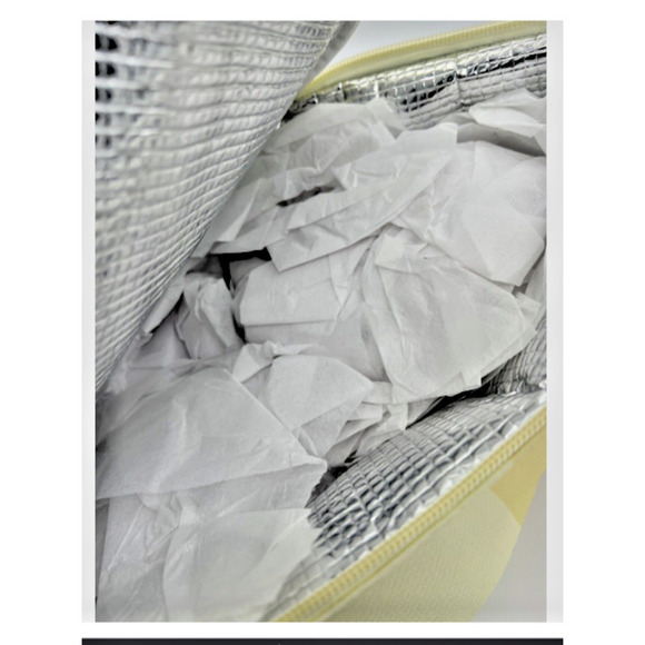 Disney World Parks Monorail Lunch Box Tote Bag Cool Bag Chill Insulated BNWT - Picture 6 of 14